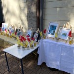 KUNST, SPORT, ZON en GEZELLIGHEID: een topdag!!